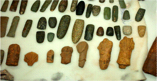Artefacts et fossiles. Crédit Photo : M. Abbado 

